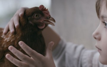 The_Chicken_03